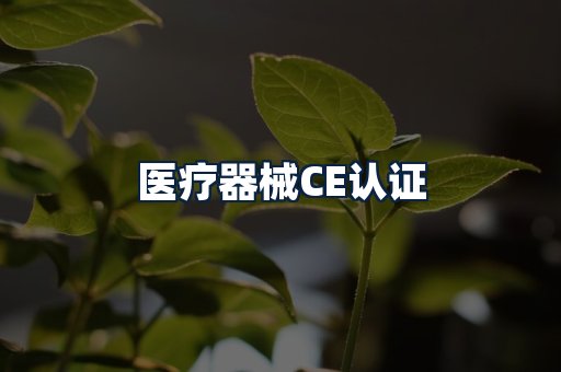 医疗器械CE认证